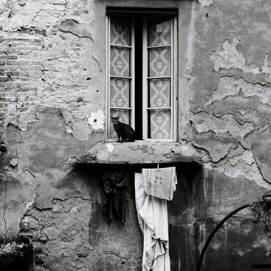 Italien Fotografie
