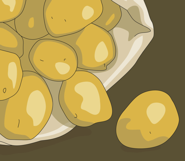 Illustration_Kartoffeln.indd